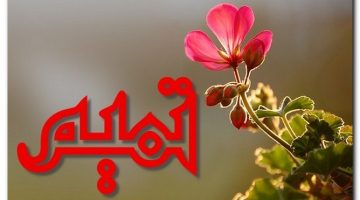 معنى اسم تميم وشخصيته