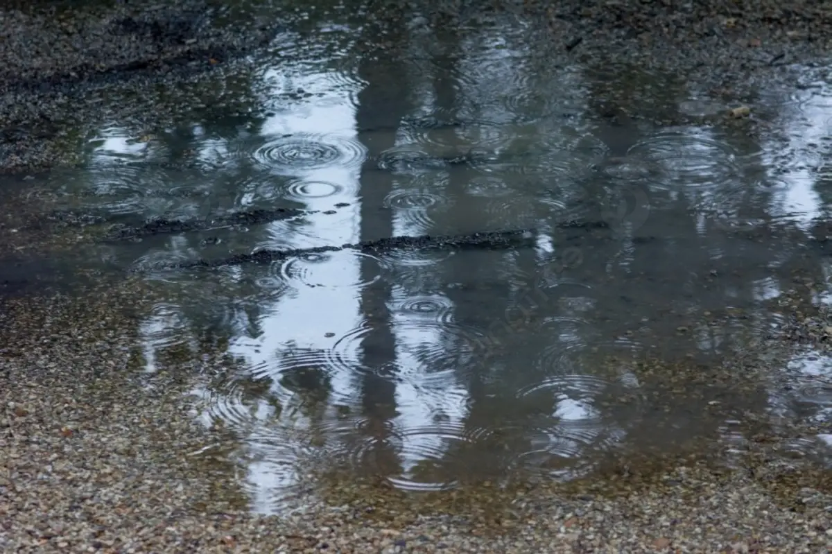 تفسير حلم ارض مبللة بماء المطر للمتزوجه