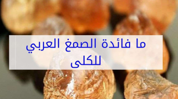تجربتي مع الصمغ العربي للكلى