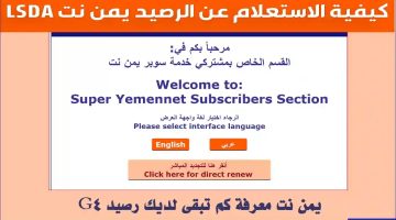 الاستعلام عن الرصيد يمن نت