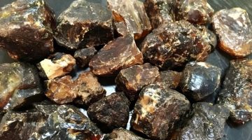 تجربتي مع العنبر للنطق