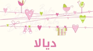 معنى اسم ديالا في الإسلام