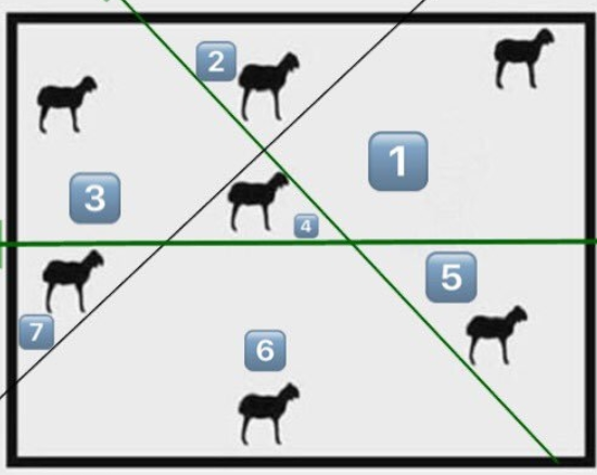 حل لغز يوجد في الحقل سبع خراف