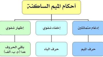 أحكام الميم الساكنة والتنوين