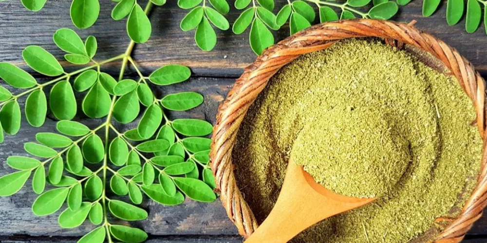 عشبة تنحف 10 كيلو في أسبوع