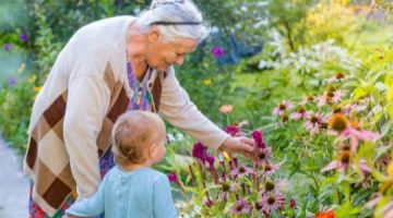 كلام عن الجده جميل 2025