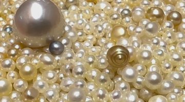 الفرق بين اللؤلؤ الطبيعي والصناعي والزراعي