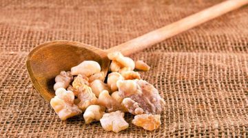 تجربتي مع لبان الذكر للتنحيف