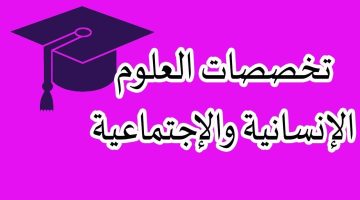 أفضل تخصصات العلوم الإنسانية