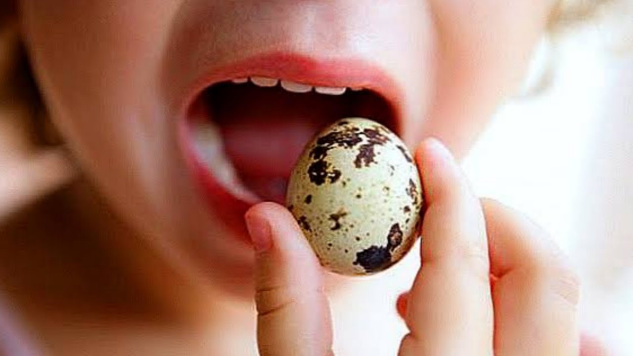 فوائد بيض السمان للرجال