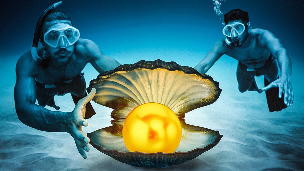 أسعار اللؤلؤ المستخرج من المحار