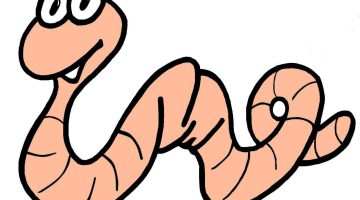 تفسير حلم خروج الدود من الأنف في المنام