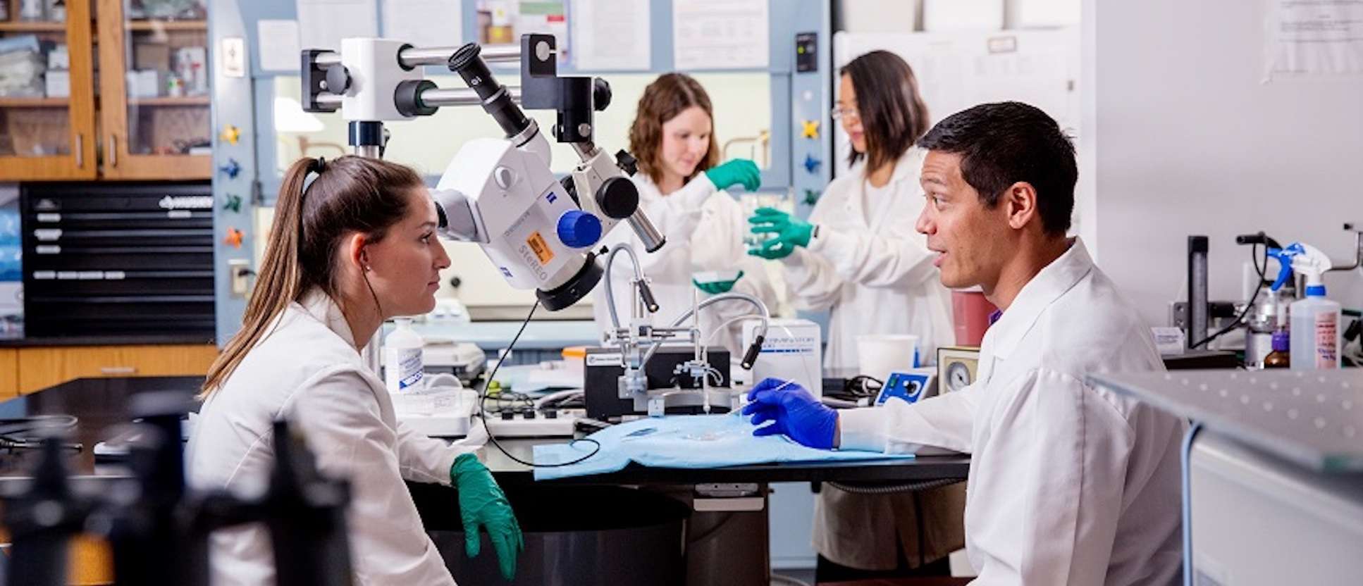 هل دراسة الصيدلة صعبة