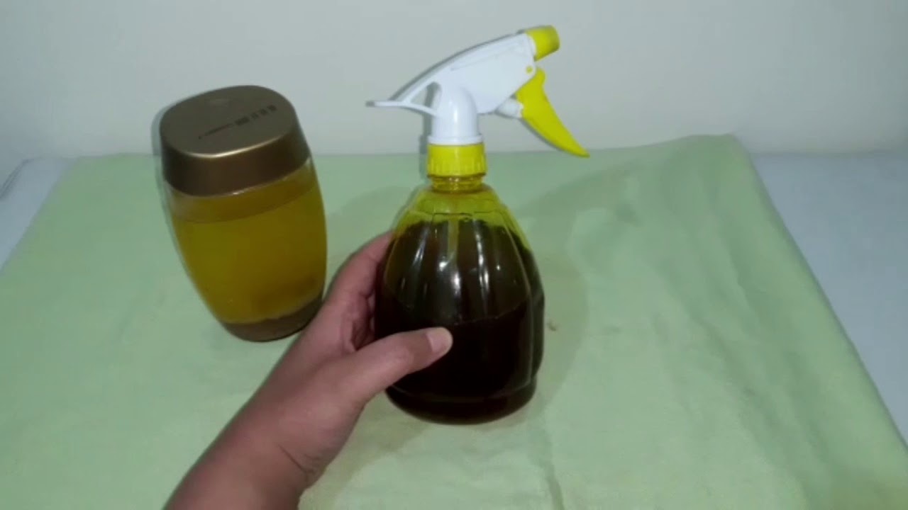 تجربتي مع بخاخ الزعتر للشعر