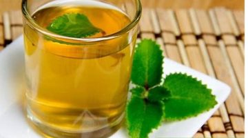 فوائد النعناع للتخسيس الكرش