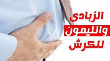 فوائد الزبادي والليمون للكرش