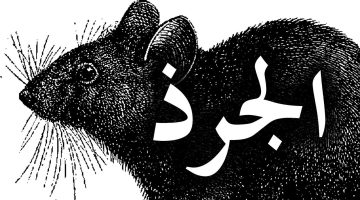 تفسير حلم الجرذ الميت في المنام