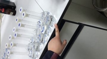 كم تبلغ نسبة الصوديوم والبوتاسيوم في الجسم؟