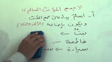 الملحق بجمع المؤنث السالم