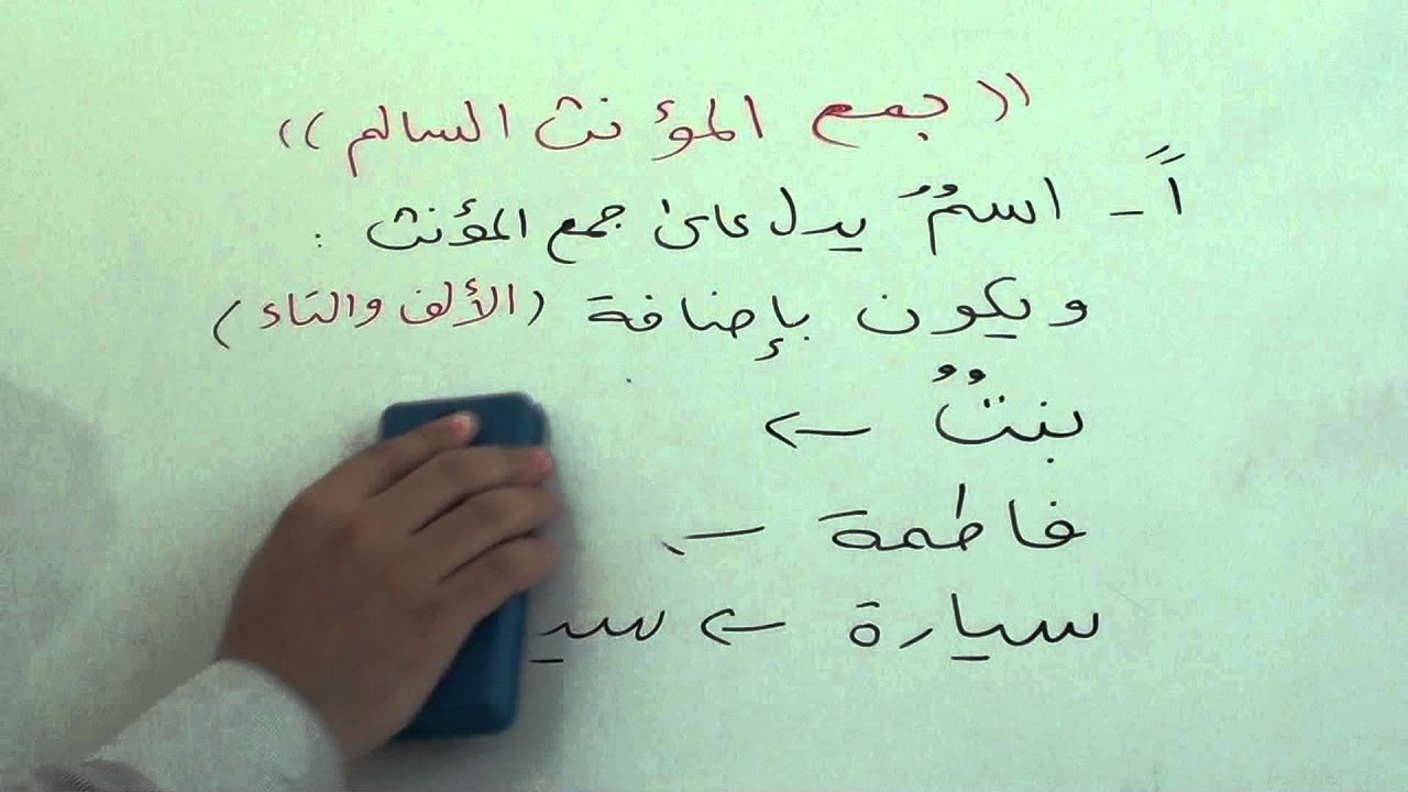 الملحق بجمع المؤنث السالم