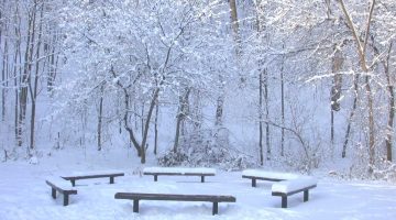 تفسير حلم رؤية الثلج في المنام