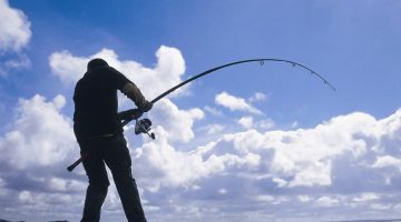 أفضل أنواع سنانير الصيد للمبتدئين وأسعارها