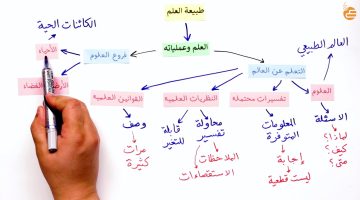 حلول علوم ثاني متوسط ف2 الفصل السابع والثامن