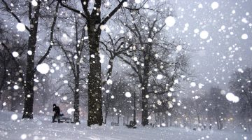 تفسير حلم نزول الثلج بغزارة