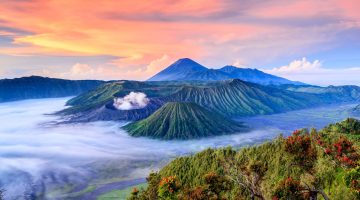 الاستقدام من إندونيسيا 1446