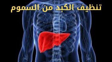 تجربتي مع تنظيف الكبد من السموم