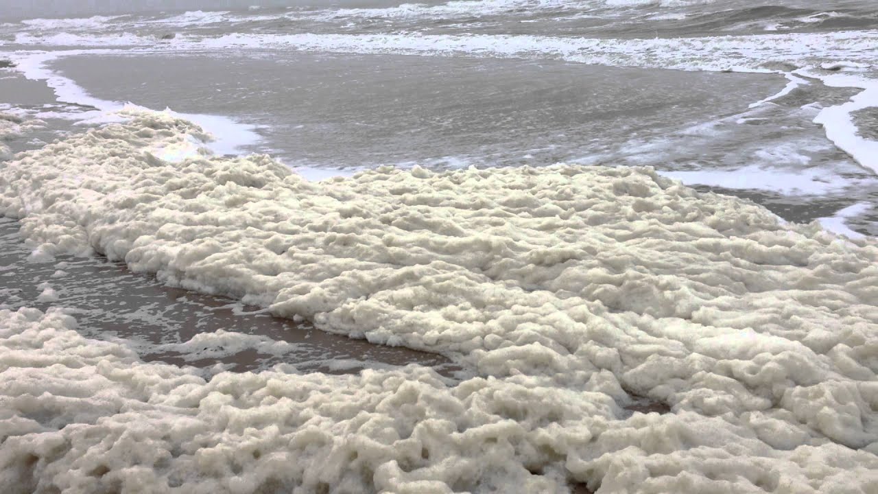 تفسير حلم رؤية زبد البحر في المنام