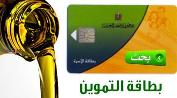 رابط بوابة مصر الرقمية للتموين 2025 لإضافة المواليد
