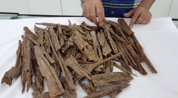 أفضل بخور عود للزواجات