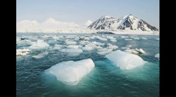 هل الماء قطبي او غير قطبي