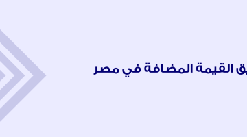 تقديم إقرار ضريبة القيمة المضافة عن طريق النت في مصر 2025