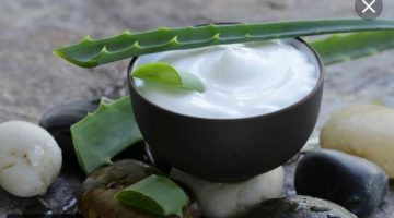 سعر جل الصبار عند العطار 2025