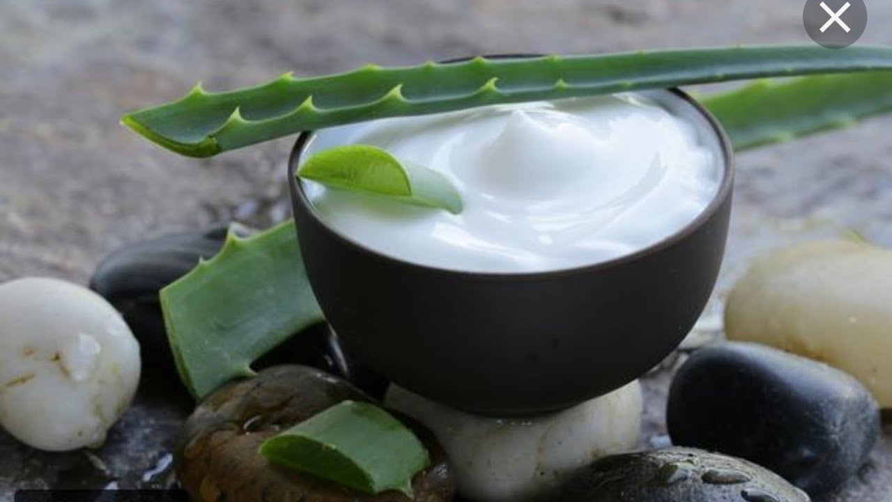 سعر جل الصبار عند العطار 2025