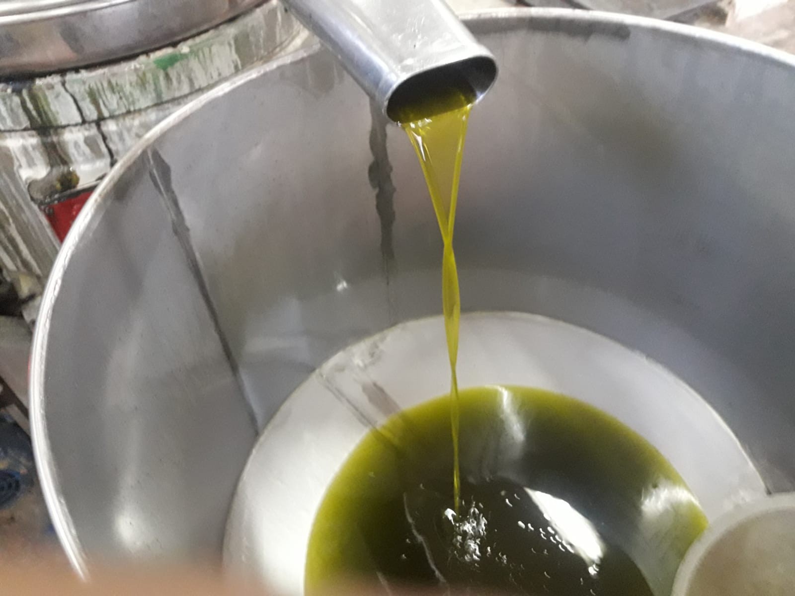 فوائد دهن زيت الزيتون بعد الحجامة