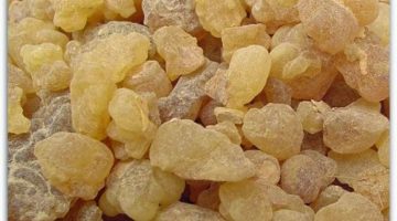 تجربتي مع لبان الذكر لنفخ الخدود