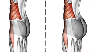 متى يتوقف نمو المؤخرة