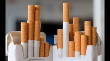 نسبة النيكوتين في السجائر الكليوباترا