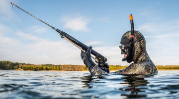 حلم صيد الحمام بالبندقية