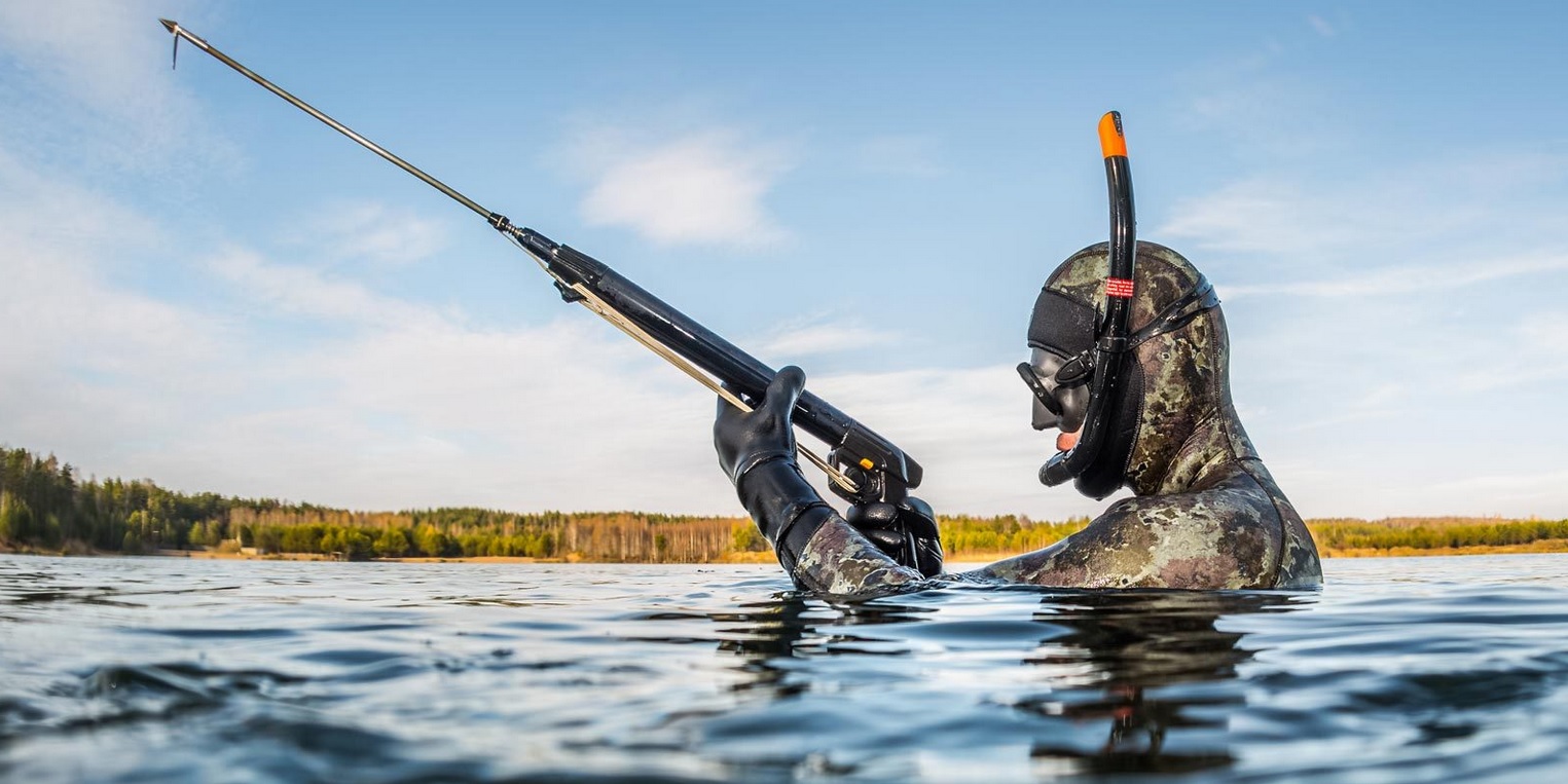 حلم صيد الحمام بالبندقية