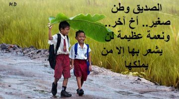 حكم لها معنى مؤثر