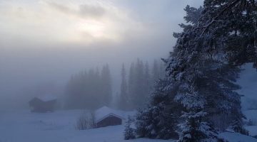 خواطر عن الشتاء والحب تويتر