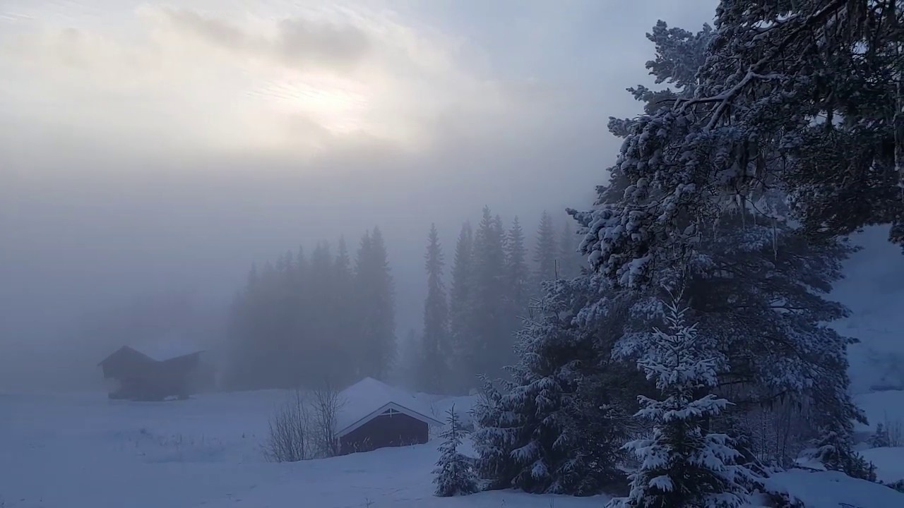 خواطر عن الشتاء والحب تويتر