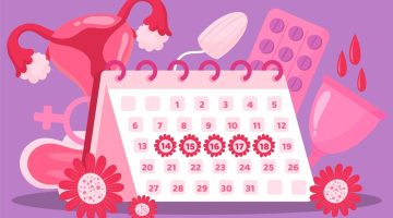 حساب موعد الدورة الشهرية والحمل