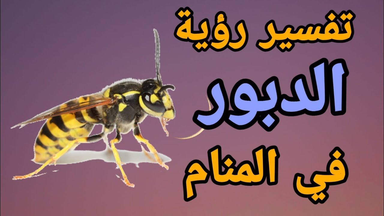 الهروب من الدبور في المنام للمتزوجة