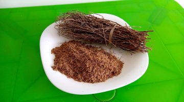 تجربتي مع الشيح للقولون