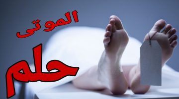 تفسير حلم الميت يعطي حذاء للحي